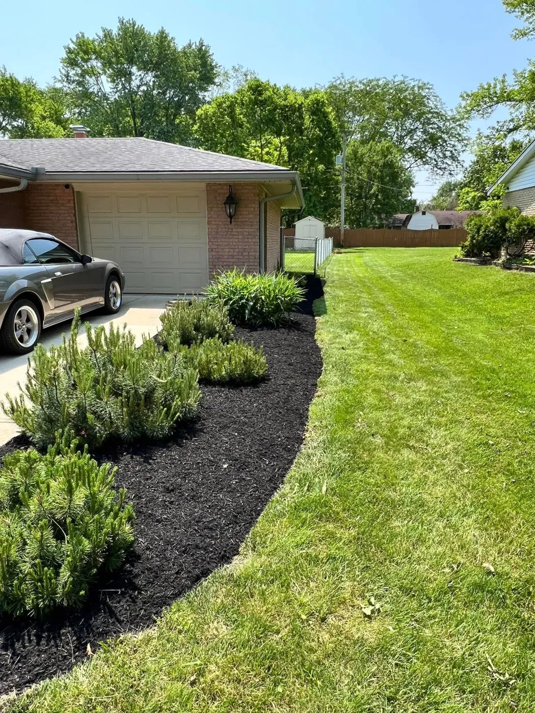 A curved front bed with fresh black mulch beside a Dayton-area driveway