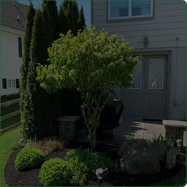 A landscaped garden bed with fresh mulch and trimmed shrubs by JBH Landscaping