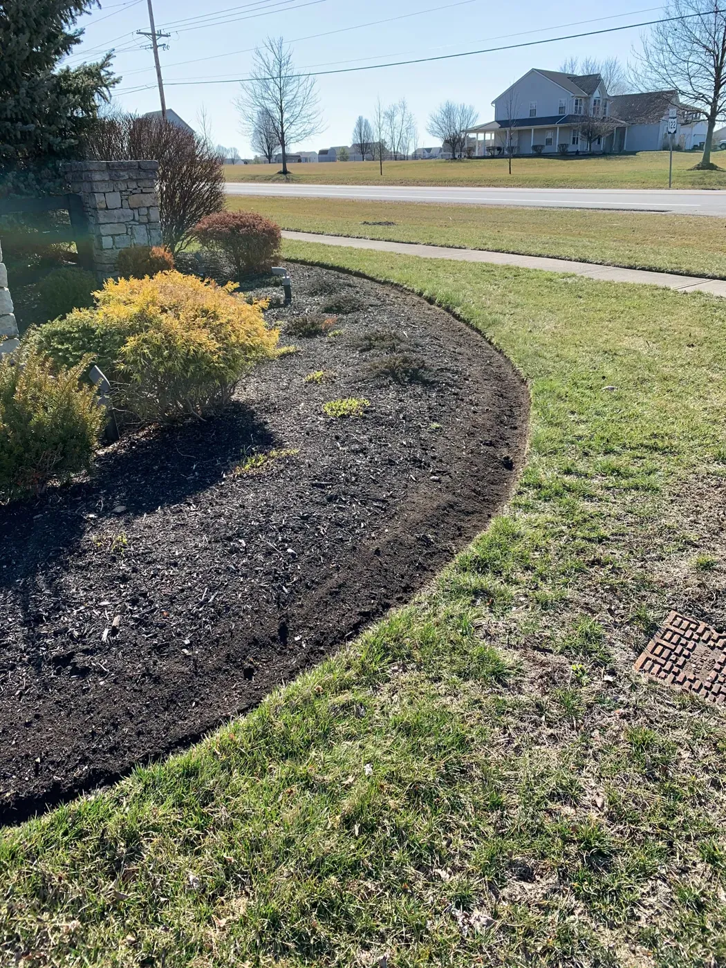 A crisp mulch bed edge cut into a front lawn