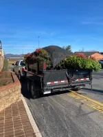 A dump trailer loaded with plants for a planting job